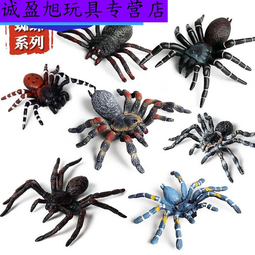 Simulation du village de Shantoulin Spider Spider Halloween Prank Toy Simulation Spider VenoMous Spider Insect Modèle Animal Ox-683 Brésilien Blue Bird Catching Spider 0.0