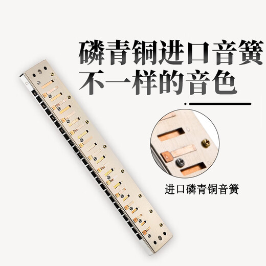 Guoguang 24-Loch Tianshan DJ Einloch Single-Tone C-Tune Mundononica (Athen Black, Kupfer Zither Grid, Brille Box)