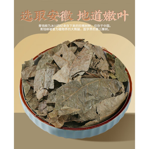 北京同仁堂中药材青钱柳叶500克青钱柳古树金钱柳茶搭牛蒡玉米须桑叶茶 【药房直售】青钱柳500克