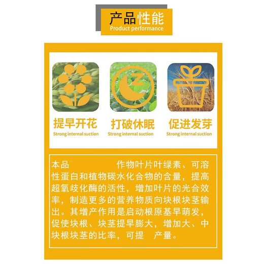 Guoguang Magic King Choline Chloride Garlic Ginger Atractylodes Potato Peanut Radish Yam Special Swelling Regulator 200ml*1 Bottle