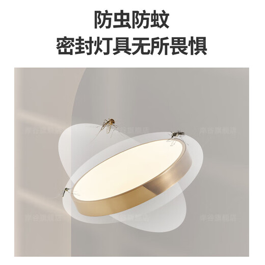 耐用别墅大门口吸顶灯防水防虫入户进门灯室外门前全铜户外阳 新X3890-大号51CM/三色可调
