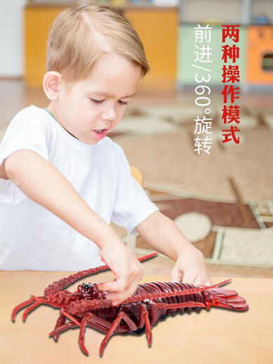 遥控小龙虾螳螂仿真电子宠物动物儿童趣味会动的玩具男孩女孩 经典版-遥控瓢虫红色款9922+螺丝 升级版另赠24粒电子