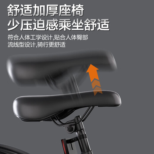 Flying Pigeon Youth Bicycle 6-12-18 Years Old Male and Female Student Competition Grade Mountain Bike Gray 24-inch Transmission Body