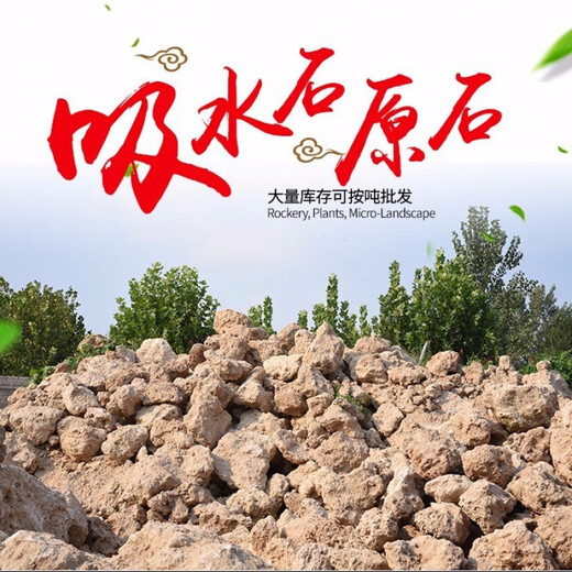 Stone flowerpot absorbent stone water stone original stone natural flowerpot with asparagus bamboo and calamus succulent plant micro landscape pot 13-17cm stone pot + tiger beard calamus package 2