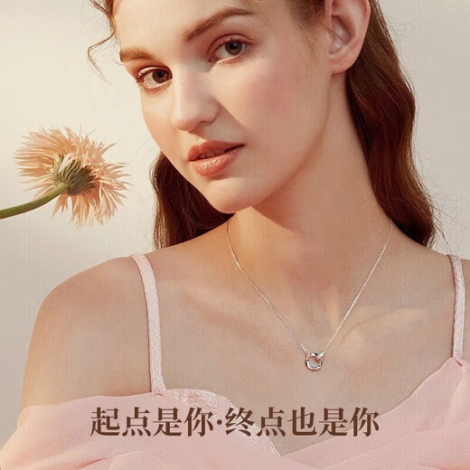 Dirholl Moebius PT950 Platinum Necklace Feminine Simple Pendant Valentine's Day Birthday Gift for Girlfriend and Wife Platinum PT950 Necklace-Moissanite Pendant with Buckle