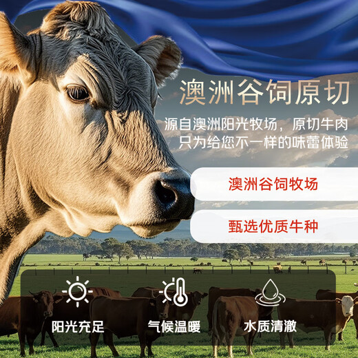 Yueshengzhai PLUS Subsidy Popular Chilled Australian Grain-Fed Beef Tendon 800g Date Super Fresh Fresh Beef