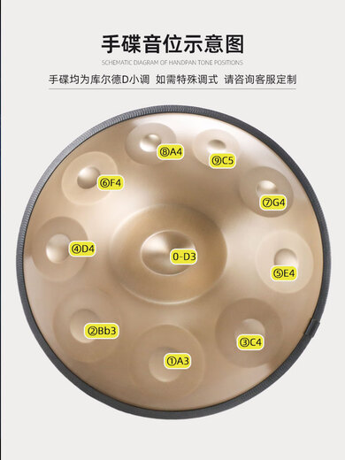 白龙吟Handpan手碟鼓乐器D小调打击乐器入门级初学专业手碟9音10音12音 黄金眼 10音【进阶款】