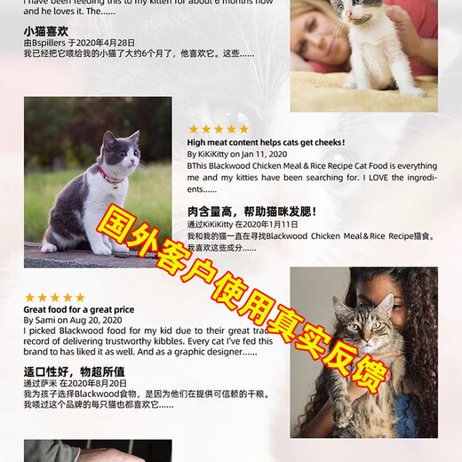 Baichan price Asilison A8PRO full price cat food for adult cats and kittens general cat main food fattening gill salmon 4.5Jin Jin is equal to 0.5kg 1 pack fattening gills hair beauty care intestines formula full-term cat food