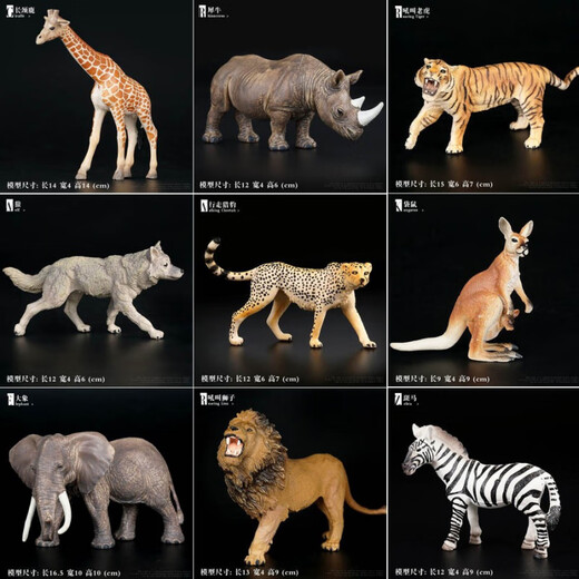 Süßes Heim -Kinderspielzeug simuliert Wildtiermodel Giraffe Elefant Tiger Löwe Cheetah Wolf Baby Kognitiver Orament 679 Großer weißer Kaninchen