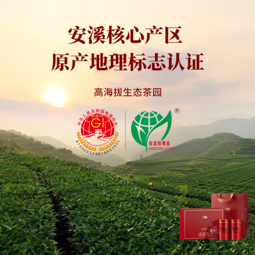 八马茶业乌龙茶赛珍珠五星 铁观音浓香型特级200g礼盒装茶叶端午送礼