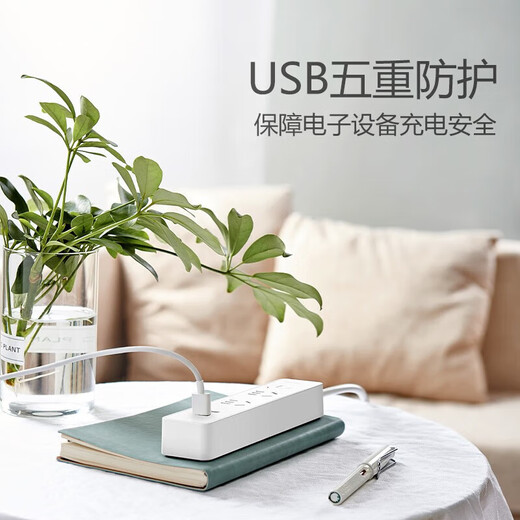 Bull Electric USB Socket Multi-fonction des écouteurs téléphoniques mobiles USB PLAGE DE CHARGE FASS