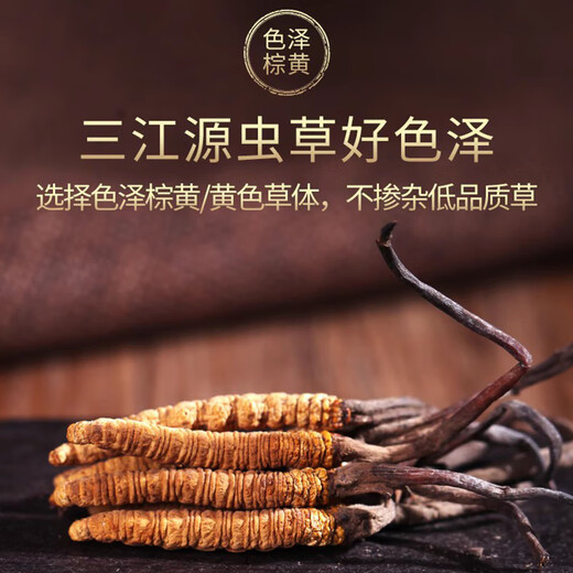 三江源冬虫夏草玉树野生虫草高海拔采挖虫草礼盒装 玉树冬虫夏草 12克30根