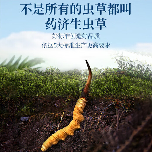 Yao Jisheng freeze-dried Cordyceps sinensis 10g Cordyceps sinensis OCC flagship store gift box birthday gift box for parents and elders high-end gift