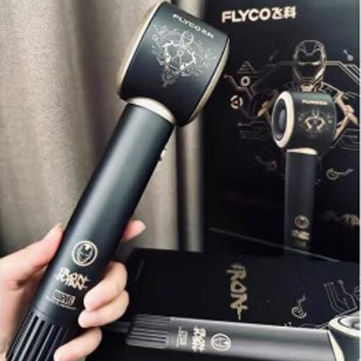 Flyco/Haartrockner Haushalt High-Power High-Speed ​​Dry Negativ-Ionen-Haarpflege Wohnheim Studenten FH6310 Flyco FH6296 (hellgrün)