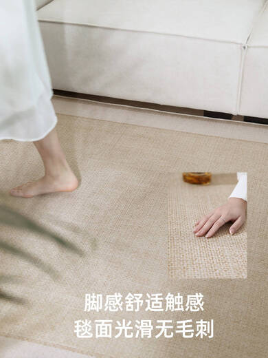OUOETY客厅地垫免洗易打理防滑地毯2025新款季轻奢感冰丝凉席榻榻米 四季款-宜沐15780 1件 150*200CM防刮耐磨