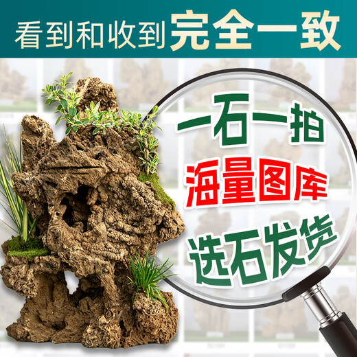 Shiguang Xiaozhan boutique water-absorbing stone bonsai fish pond rockery micro-landscape decoration natural rockery stone landscaping raw stone boutique 45-49cm water-absorbing stone does not include basin