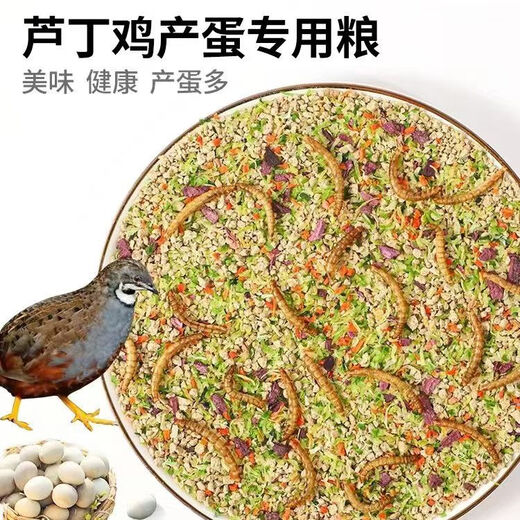 Special feed for rutin chickens, rutin chicken egg production feed, mealworm brooding feed, quail feed, high protein 10Jin Jin is equal to 0.5kg, egg production food containing mealworms, dried vegetables