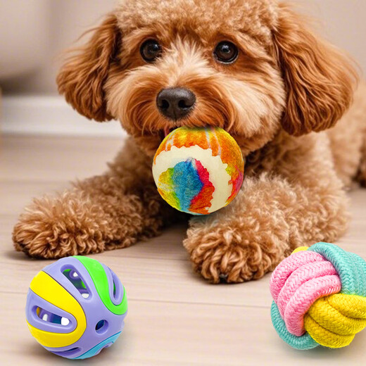 Zanpet Teething Dog Toy 3-piece Set Toy Golden Retriever Teddy Interactive Teething Relief and Bite-Resistant Dog Toy