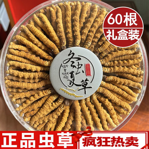 Peking Tongrentang Pangdonglai Qualität Tibet Snow Cordyceps 2 Wurzeln/G Authentische Cordyceps Höhengeschenke 2 Wurzeln/G (Spezifikationen) 60 Wurzeln Geschenkbox
