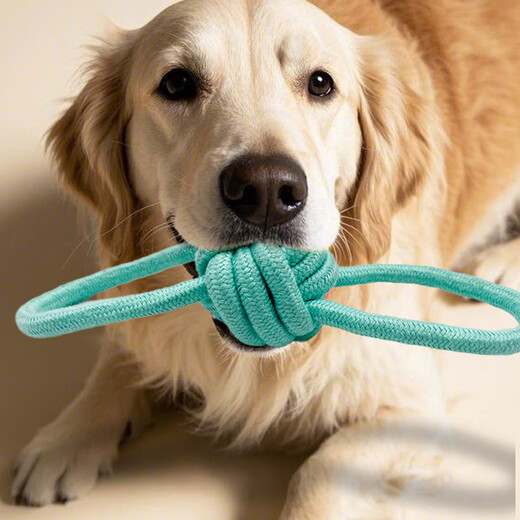 ZanChong Macaron Cotton Rope Teething Dog Toy 4-piece Set Dog Toy Bite-Resistant Teething Ball Pet Puppies Little Self-Happiness