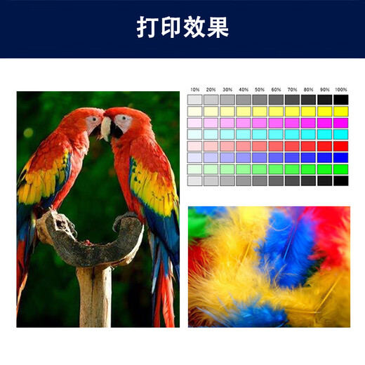 
Color flame is suitable for HP 938 ink cartridge Pro 9730 9720 9120 ink cartridge 9130 9110b color printer [938 ink cartridge] Four-color ink cartridge set (about 6800 pages)