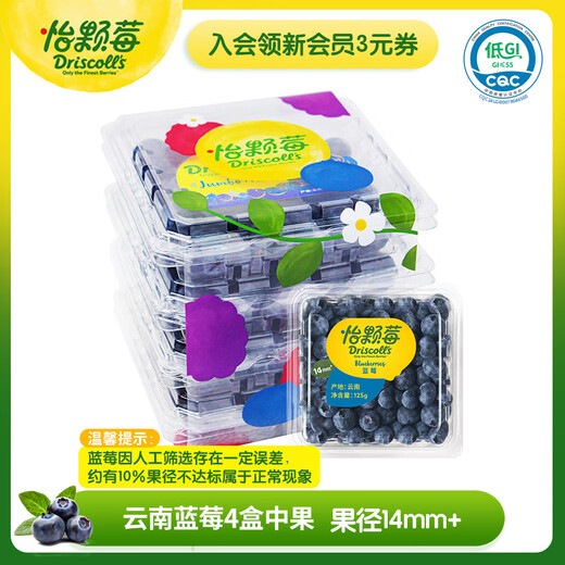 Yikeberry Driscolls Saison Yunnan Blaubeeren 14mm+ 4 Kisten 125 g/Box Frische Früchte
