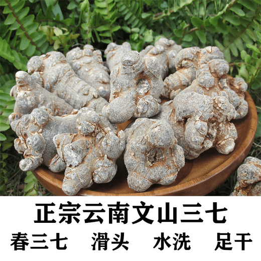 晓楚仁【官方直营】三七云南文山精选 无剪口春三七正宗田七 精选20头20个无剪口三七500克