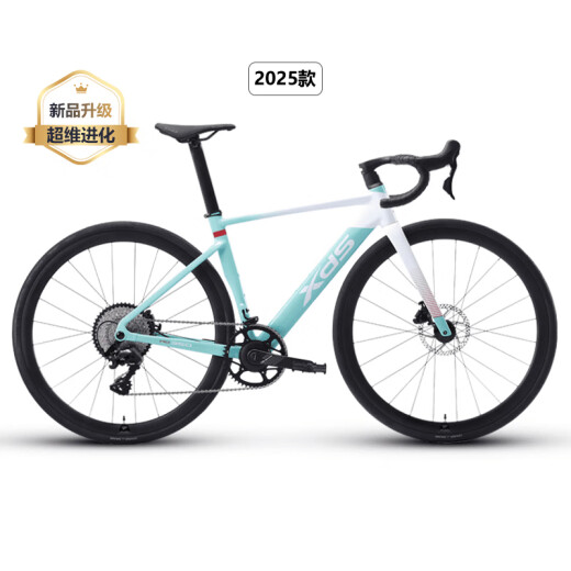 XIDESHENG READ BIKE 2025 AD350 Carbon Fasergabel -Kraftmessgerät Ultraleiche Aluminium Pneumatic Fitness Bike Taubengrau [komplettes Fahrzeugversand] 480 mm