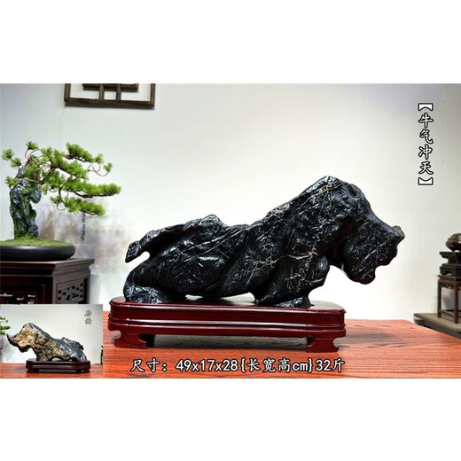 Yingtang Back Mountain Stone Windows Ensnments Lingbi Stone Natural Raw Stone Stone Stone Feng Shui Ornaments Taihu Stone Taishan Stone Palette 826 Lingshan Concepción artística