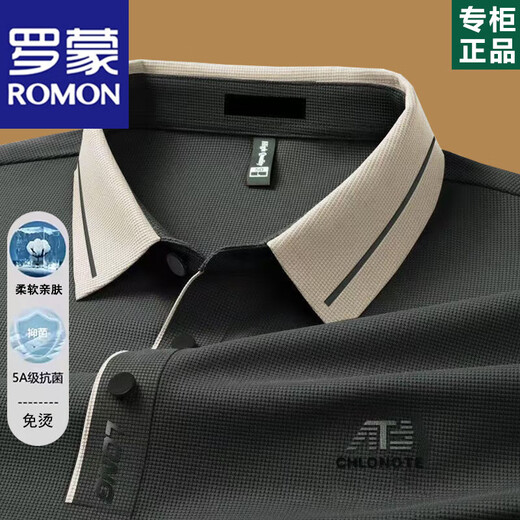 罗蒙（ROMON）高端男士长袖t恤2025春秋薄款中年爸爸翻领POLO打底衫秋装上衣服 16823浅绿长袖 L 170【建议115-130斤】