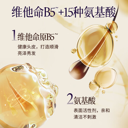Brighten plant essential oil fragrance shampoo 500g soft and repair long-lasting fragrance shampoo men and women's hair cream