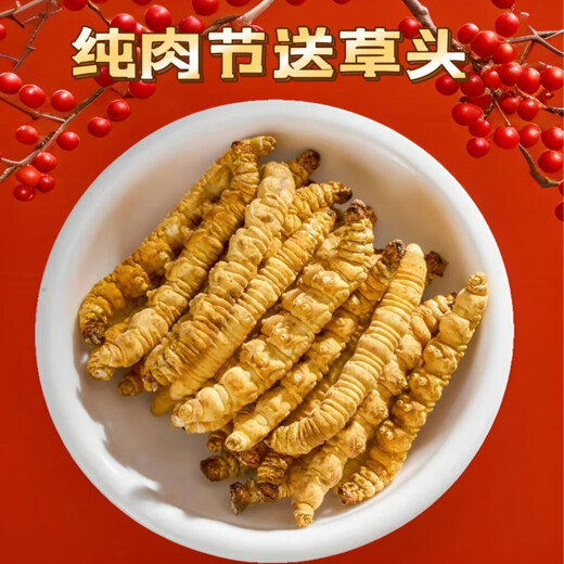 万草康仁冬虫夏草断草藏区断虫草断草中老年营养品整肉节虫草酒保健品 精选纯肉体【 5克体验装】