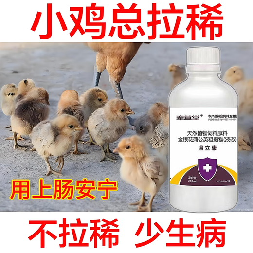 Luanci chicks' open intestines, calming chicks' diarrhea, anorectitis enterotoxin, salmonella, general veterinary additive for chicks, 1 bottle of standing medicine for chicks, head down and close eyes