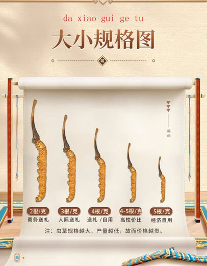 北京同仁堂原料高原冬虫夏草（规格2-3根/克）正宗虫草无断草礼盒装 3根/克1根【多买多送】