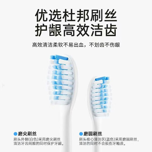 Shuke Junior Fully Automatic Sonic Electric Toothbrush Home High Frequency Vibrating Brush Head Deep Cleaning Gum Protection Long Battery Life Adult Student Toothbrush Gift Boyfriend/Girlfriend 3 Modes Birthday Ocean Blue Rechargeable Model LED Display + Magnetic Levitation Sonic + 6 Large Modes