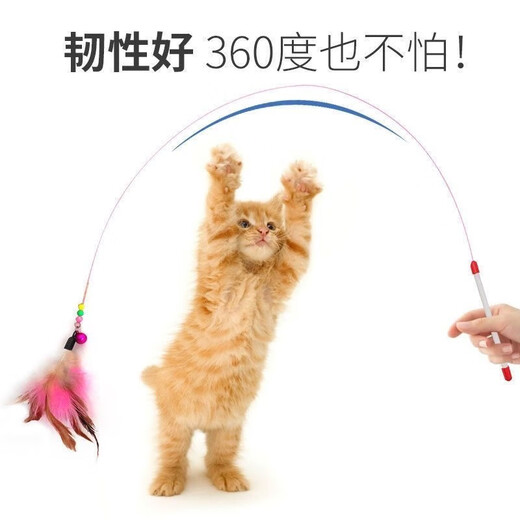 New cat toys, cat sticks, long rods, feathers with bells, cat toys, pet cat sticks to relieve bored cats, 1 replacement head