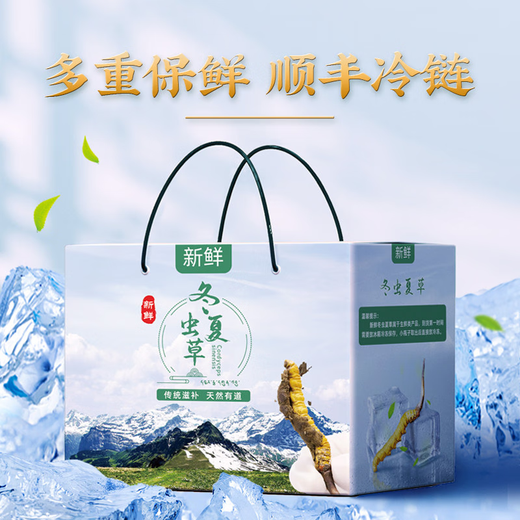 
2025 Fresh Cordyceps Authentic First-Stage Fresh Cordyceps 1.2g/root of genuine fresh grass for gift supplements 0.8-1.0g/root [Cryo-save] 10 fresh Cordyceps