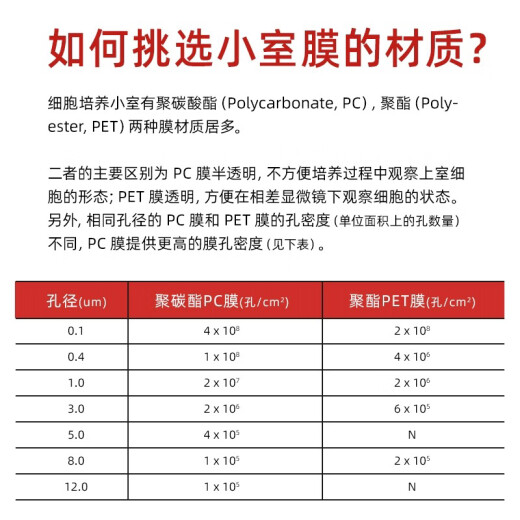 6孔12孔24孔 PC/PET膜细胞小室培养板 transwell 6孔板(PET膜24mm孔径3.0μm)14122