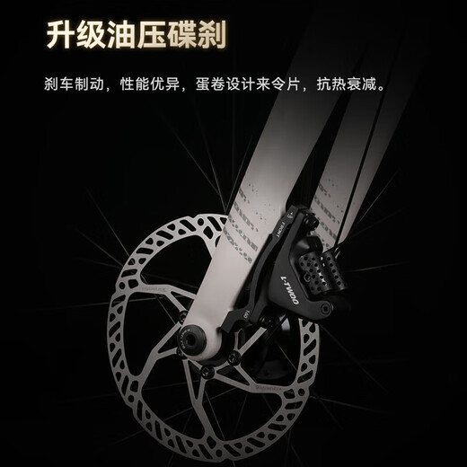 喜德盛（xds）公路自行车AD350破风架20速油碟桶轴四培林花鼓2024 25款AD300-奶油黄白 【整车安装】 480mm (身高165-175cm)