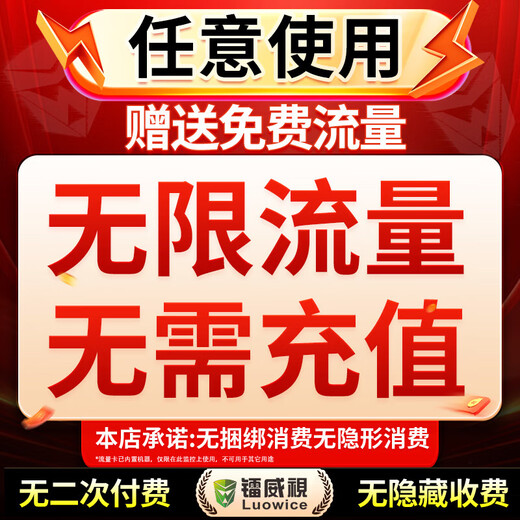 镭威视4g摄像头室外户终身免充值流量监控器家用线无需wifi手机远程360度无死角带夜视全景插卡不用网络