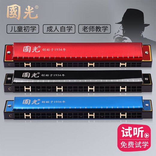 Guoguang Shanghai Guoguang harmonique 24 trous Polyphonique C-tuners pour débutants, élèves du primaire, introduction de 28 trous aux adultes pour enfants, version commémorative de Starry Silver [Tutoriel vidéo Colonde + vidéo