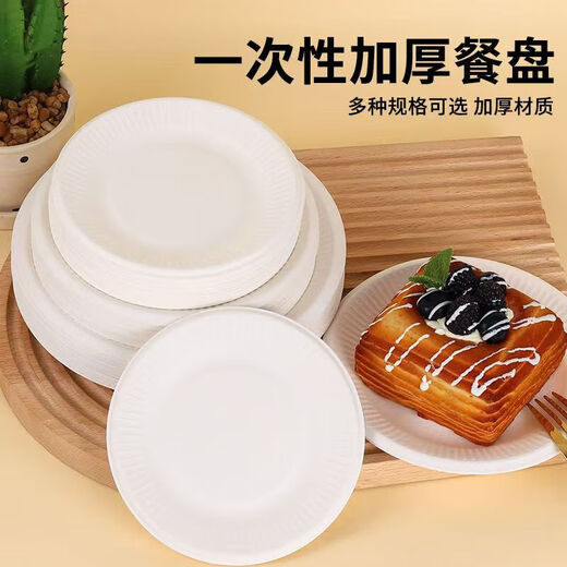 Disposable paper plate paper bowl tableware environmentally friendly paper dinner plate barbecue plate cake painting handmade diy kindergarten plate 10 inch round plate 10 pieces