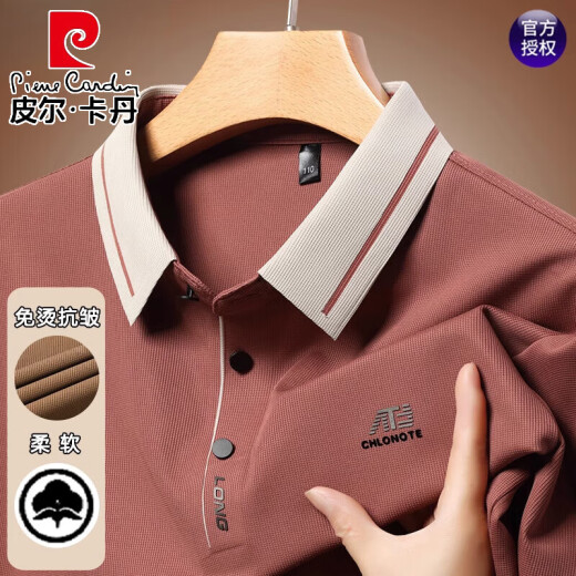皮尔卡丹（pierre cardin）男士长袖t恤2025春秋新款休闲宽松翻领打底POLO衫上衣 16823浅绿 M 165【建议95-120斤】