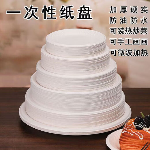 Disposable paper plate paper bowl tableware environmentally friendly paper dinner plate barbecue plate cake painting handmade diy kindergarten plate 10 inch round plate 10 pieces