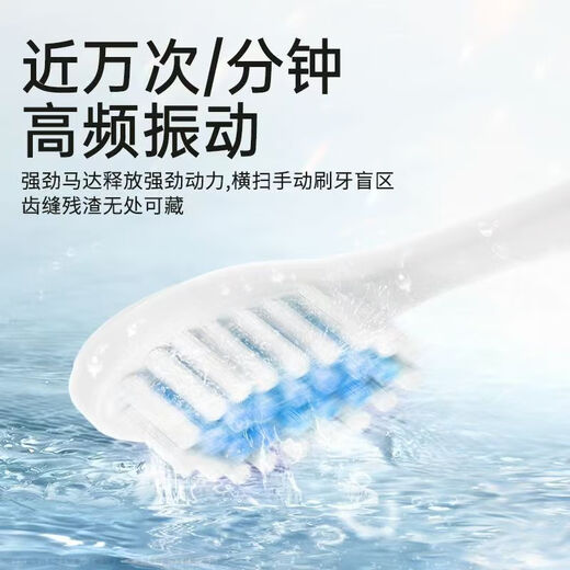 Shuke Junior Fully Automatic Sonic Electric Toothbrush Home High Frequency Vibrating Brush Head Deep Cleaning Gum Protection Long Battery Life Adult Student Toothbrush Gift Boyfriend/Girlfriend 3 Modes Birthday Ocean Blue Rechargeable Model LED Display + Magnetic Levitation Sonic + 6 Large Modes