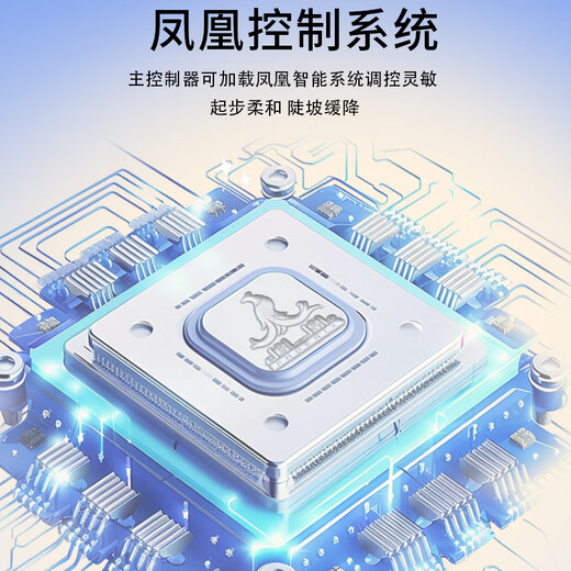 Phoenix Beetle Electric Tricycle Home Small Elderly Walking Electric Vehicle Electric Three-Wheeled Elderly Leisure Battery Vehicle 600W丨48V12A Lead Acid + Battery Life About 25 Kilometers