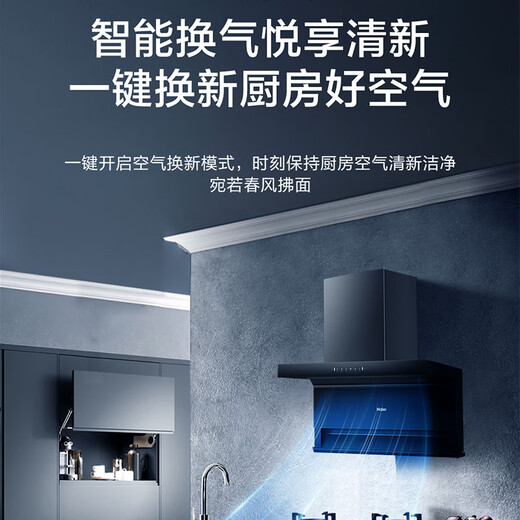 Haier Haushalt Oberseite unten unten 3-saugende 7-förmige Kapuze CXW-358-EC723 SELTSSUCHUNG 480PA WALL WAVE Intelligente Steuerung Drei-Kammer-Schnellsaugung [25 große Luftvolumen 7-förmige Kapuze] CXW-358-EC723