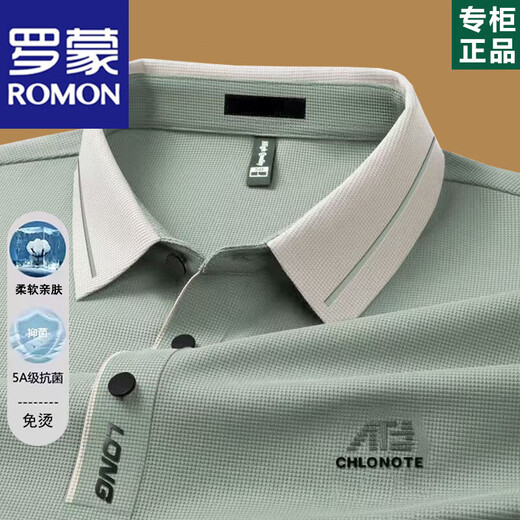 罗蒙（ROMON）高端男士长袖t恤2025春秋薄款中年爸爸翻领POLO打底衫秋装上衣服 16823浅绿长袖 L 170【建议115-130斤】