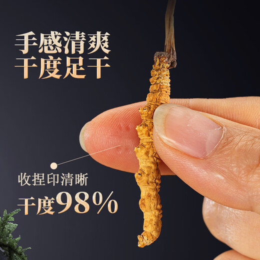 [Tibet Straight Hair] Nagqu First Stubble Cordyceps Authentic High-altitude Dried Cordyceps Gift Boxes First Choice Selected Extra Large Grass 4 Roots/G 100 Roots
