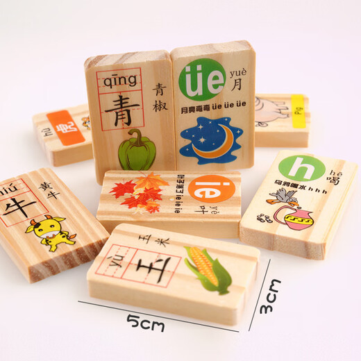 Toys pour enfants en bois Beyzk pour garçons et filles 2-3-6 ans, âgés de 100 blocs d'alphabétisation Domino Blocys 100 morceaux de Domino + Macaron 18 trous Intelligent Car Intelligent